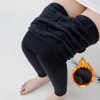 Women's Fleece Leggings, 240g Thickened Warm Nine-Ten Pants, Versatile High Elasticity Ankle Pants for Autumn and Winter
